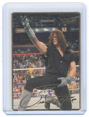 The Undertaker Wrestling Cards 1994 Action Packed WWF Promo Prices