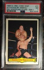 Attacked By An Animal Wrestling Cards 1985 O Pee Chee WWF Prices
