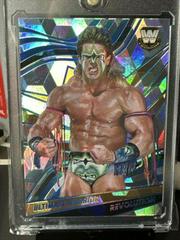 Ultimate Warrior [Cubic] #105 Wrestling Cards 2022 Panini Revolution WWE Prices