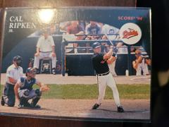 Cal Ripken Jr #8 of 9 Baseball Cards 1994 Score Cal Ripken Jr Prices