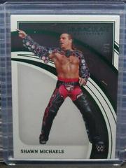 Shawn Michaels [Green] Wrestling Cards 2022 Panini Immaculate WWE Prices