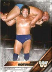 Mike Rotunda [Silver] Wrestling Cards 2016 Topps WWE Prices