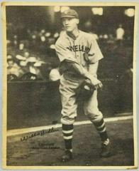 Willis Hudlin Baseball Cards 1929 R316 Kashin Publications Prices