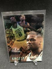 Antoine Walker [Row 0] Basketball Cards 1996 Flair Showcase Prices