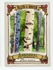 Black Birch #AA-11 Baseball Cards 2021 Topps Allen & Ginter Arboreal Appreciation Prices