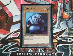 Giant Rat SGX1-END03 YuGiOh Speed Duel GX: Duel Academy Box Prices