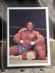 Ron Simmons #10 Wrestling Cards 1988 Wonderama NWA Prices