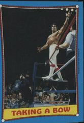 Ricky The Dragon Steamboat #65 Wrestling Cards 1987 Topps WWF Prices