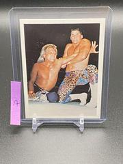 Sean Royal #338 Wrestling Cards 1988 Wonderama NWA Prices