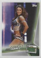 Eve Torres Wrestling Cards 2019 Topps WWE Money in the Bank Prices
