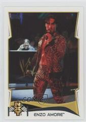 Enzo Amore #10 Wrestling Cards 2014 Topps WWE NXT Prospects Prices