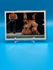 Road Warrior Animal #196 Wrestling Cards 1988 Wonderama NWA Prices