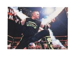 The Road Dogg #9 Wrestling Cards 1999 WWF SmackDown Prices