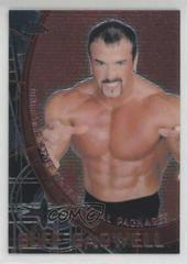 Buff Bagwell, Lex Luger Wrestling Cards 1999 Topps WCW Embossed Chrome Prices