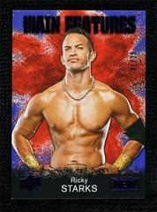 Ricky Starks [Purple] Wrestling Cards 2021 Upper Deck AEW Main Features Prices