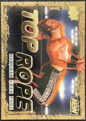 Hangman Adam Page [Gold] #TR-8 Wrestling Cards 2021 Upper Deck AEW Top Rope Prices