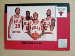 Chicago Bulls Basketball Cards 2010 Donruss Prices