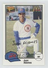 Juan Adames Baseball Cards 1989 Peoria Chiefs Prices