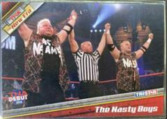 The Nasty Boys Wrestling Cards 2010 TriStar TNA New Era Prices