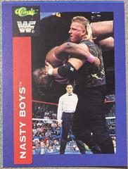 Nasty Boys Wrestling Cards 1991 Classic WWF Prices