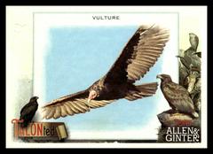 Vulture Baseball Cards 2023 Topps Allen & Ginter TALON Ted Prices