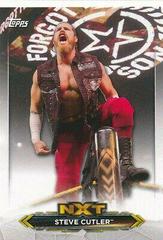 Steve Cutler #NXT-43 Wrestling Cards 2020 Topps WWE NXT Roster Prices