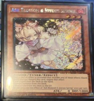 Eldlich Il Signore D'Oro (Platinum Secret Rare) - Carta Singola Da RA01-EN019 - Edizione 1° Stampo