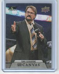 Tony Schiavone Wrestling Cards 2021 Upper Deck AEW Canvas Prices