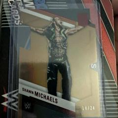 Shawn Michaels [Aspirations Die-Cut] #141 Wrestling Cards 2023 Donruss Elite WWE Prices