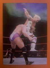 Mr. Ass #10 Wrestling Cards 1999 WWF SmackDown Prices