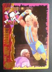 Jeff Jarrett Wrestling Cards 1995 Action Packed WWF 24 Kt. Gold Prices