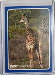 Baby Giraffe [Blue] #75Z-11 Baseball Cards 2024 Topps Heritage Zoo’s Who Stick-On Prices