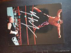 Hawk Wrestling Cards 1998 WWF Superstarz Autographs Prices