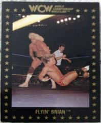 Flyin' Brian #38 Wrestling Cards 1991 Championship Marketing WCW Prices