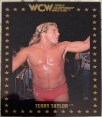 Terry Taylor Wrestling Cards 1991 Championship Marketing WCW Prices