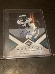 Brandon Graham [Monikers Autograph Silver] #155 Football Cards 2010 Panini Limited Prices