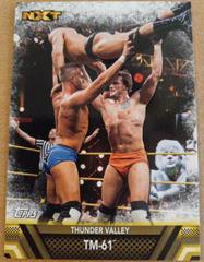 TM 61 #F-48 Wrestling Cards 2017 Topps WWE Then Now Forever Finishers and Signature Moves Prices
