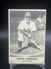 Dario Lodigiani Baseball Cards 1949 Remar Bread Oakland Oaks Prices