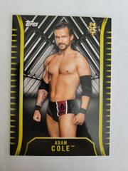 Adam Cole Wrestling Cards 2018 Topps WWE NXT Prices
