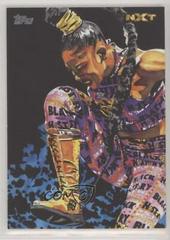 Bianca Belair #RS-4 Wrestling Cards 2020 Topps WWE Undisputed Rob Schamberger Illustrations Prices