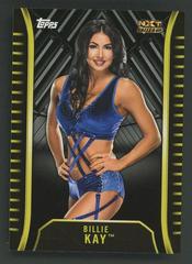 Billie Kay [Silver] Wrestling Cards 2018 Topps WWE NXT Prices