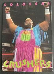 Mabel Wrestling Cards 1994 Action Packed WWF Prices