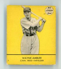 Wayne Ambler [Yellow Background] #7 Baseball Cards 1941 Goudey Prices