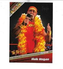 Hulk Hogan [Silver] #7 Wrestling Cards 2010 TriStar TNA New Era Prices
