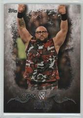 Bubba Ray Dudley Wrestling Cards 2016 Topps WWE Undisputed Prices