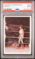 Venus #325 Wrestling Cards 1988 Wonderama NWA Prices
