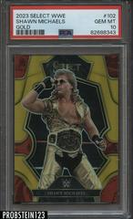 Shawn Michaels [Gold] #102 Wrestling Cards 2023 Panini Select WWE Prices