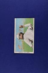 Danny Murphy [Throwing] #NNO Baseball Cards 1909 T206 Piedmont 350 Prices