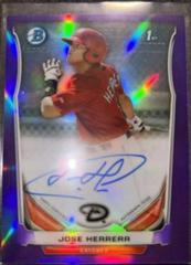 Rosell Herrera [Chrome Purple Refractor] #RH Baseball Cards 2014 Bowman Prospect Autograph Prices