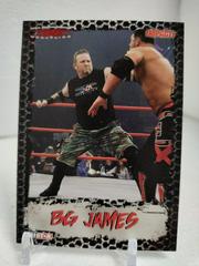 BG James [Gold] Wrestling Cards 2008 TriStar TNA Impact Prices